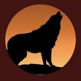 andoliniwolf from onlyfans